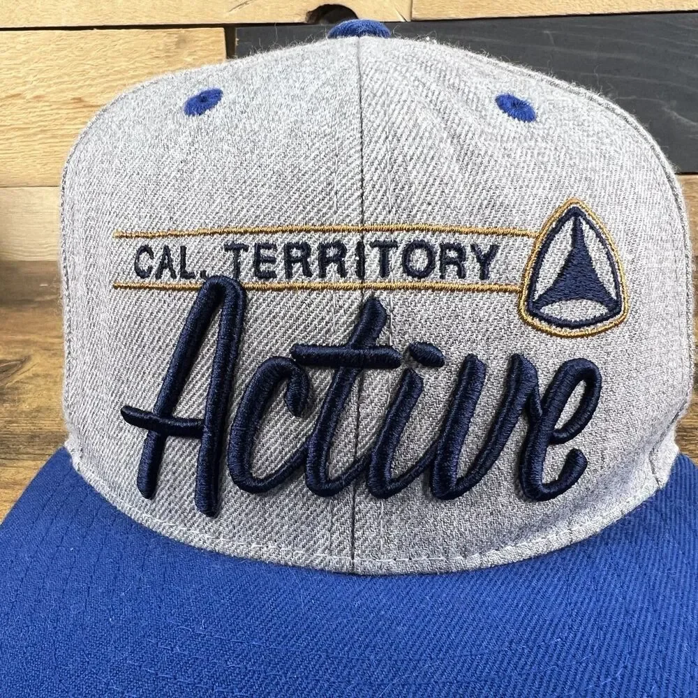 Active Cal. Territory Embroidered Adjustable Skater Hat Baseball Cap
